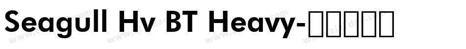 Seagull Hv BT Heavy字体转换